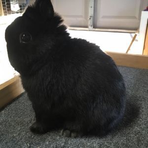 Meet your Posher, Kara